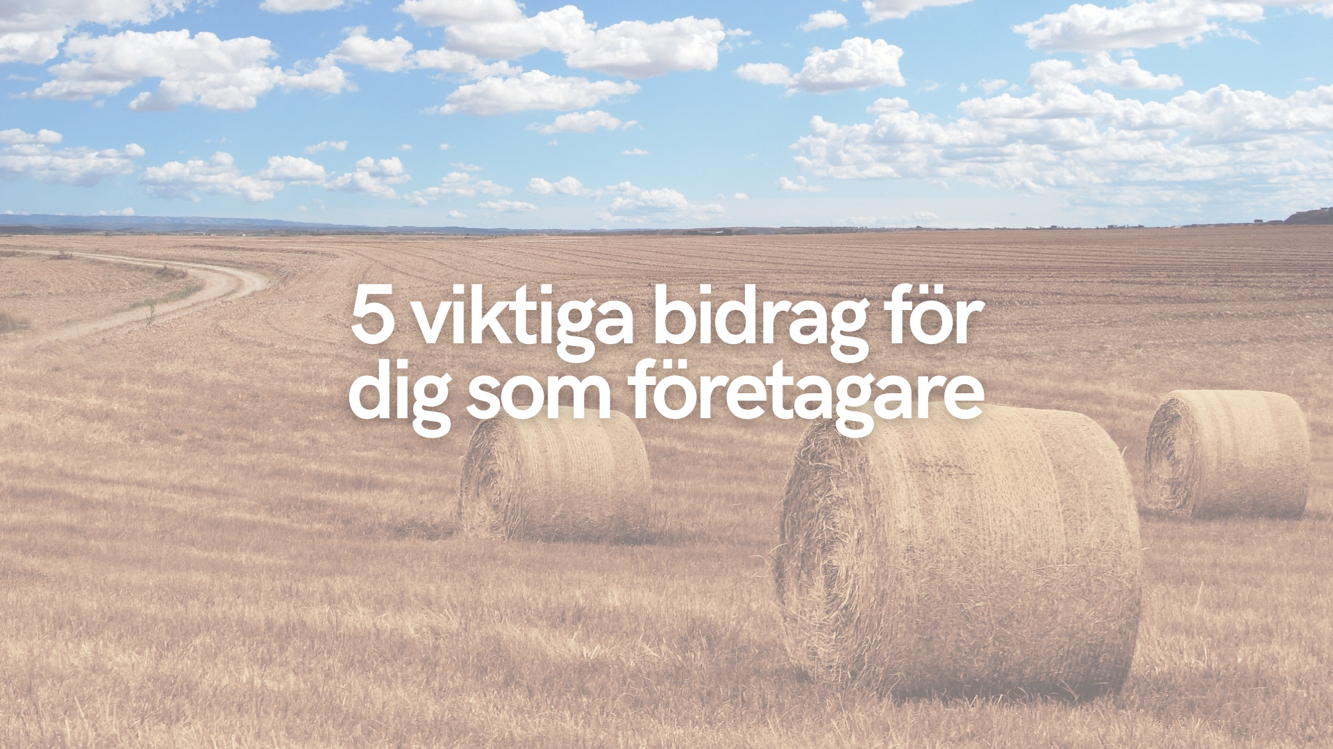 5 viktiga bidrag för dig som företagare