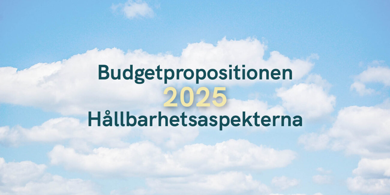 Budgetpropositionen 2025 – Hållbarhetsaspekterna