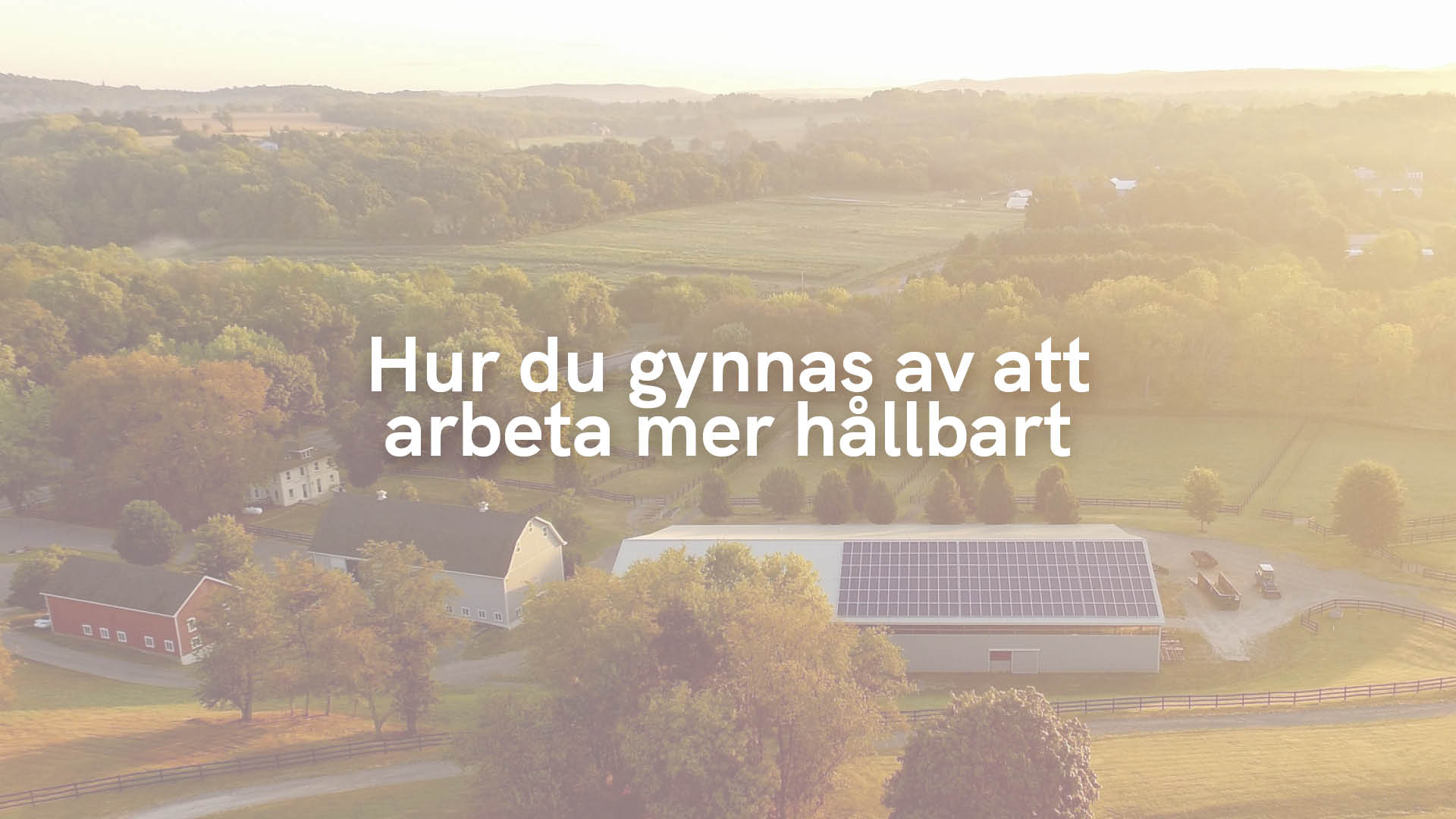 Hur du gynnas av att arbeta mer hållbart