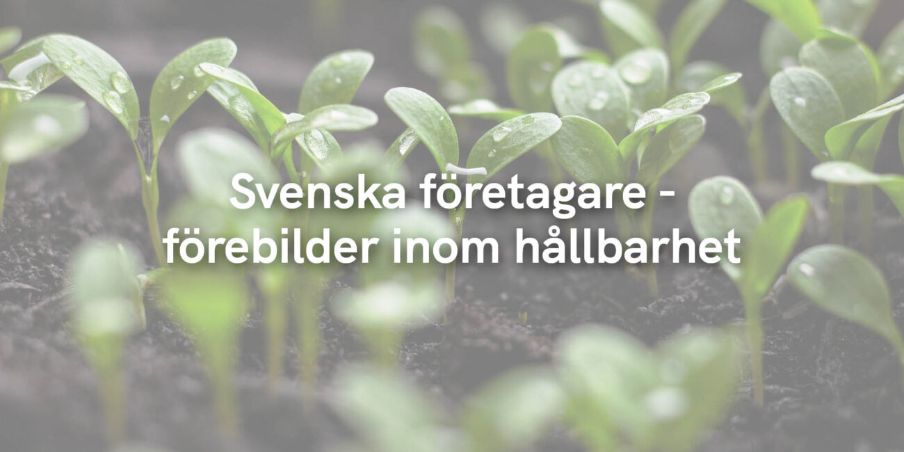 Svenska företagare – förebilder inom hållbarhet