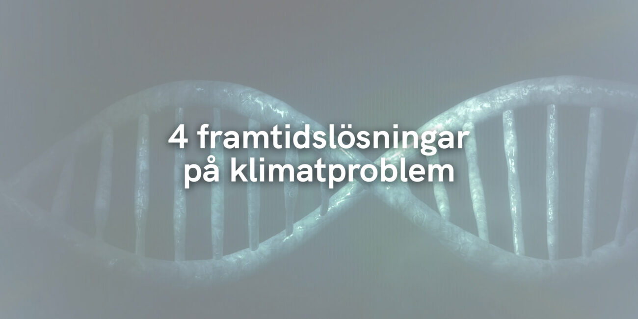 4 framtidslösningar på klimatproblem