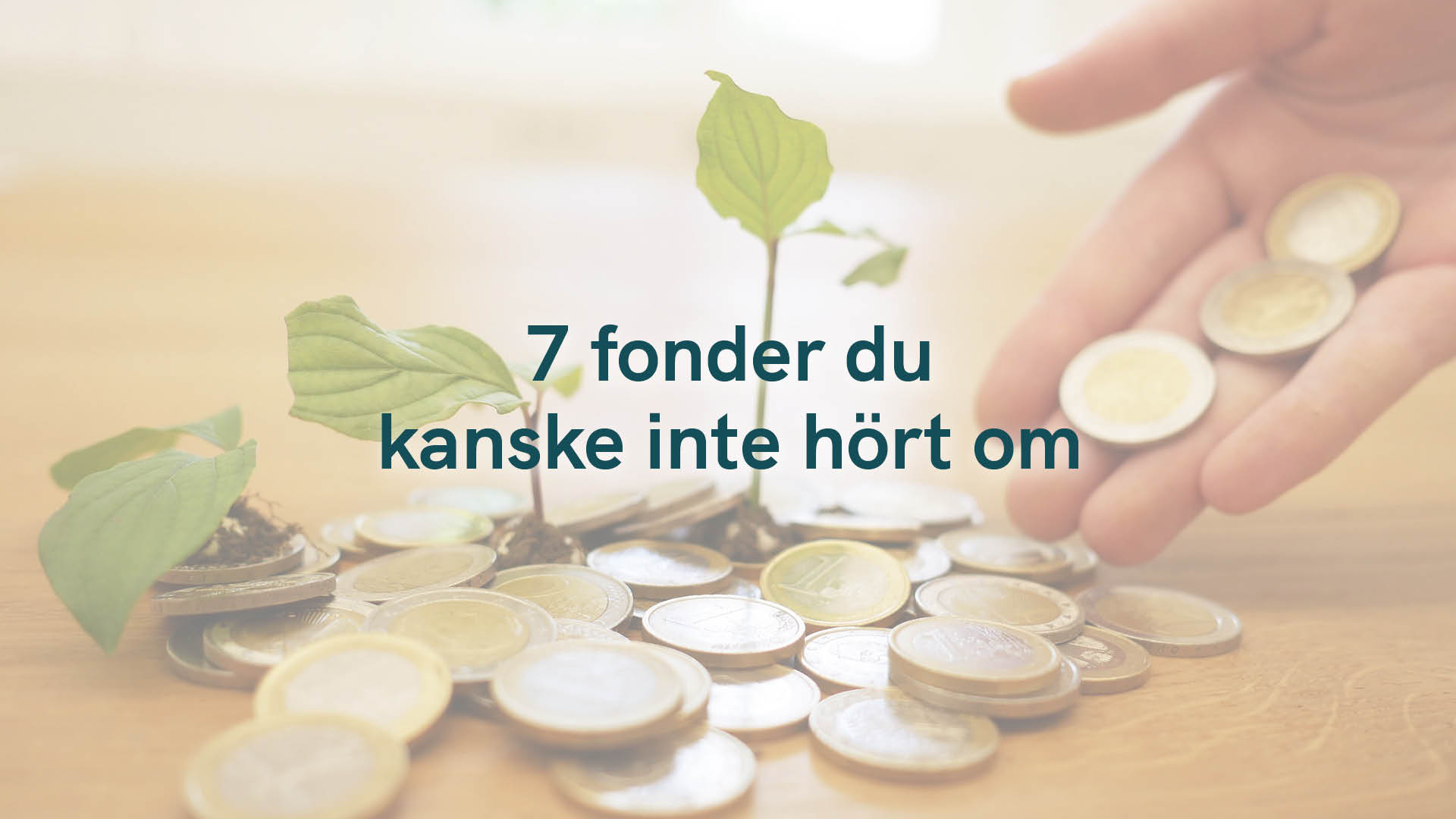 7 fonder du kanske inte hört om