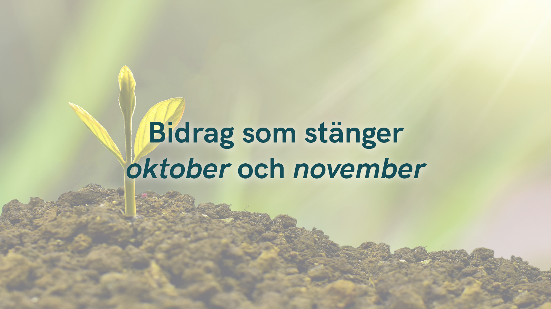 Bidrag som stänger under oktober och november 2024