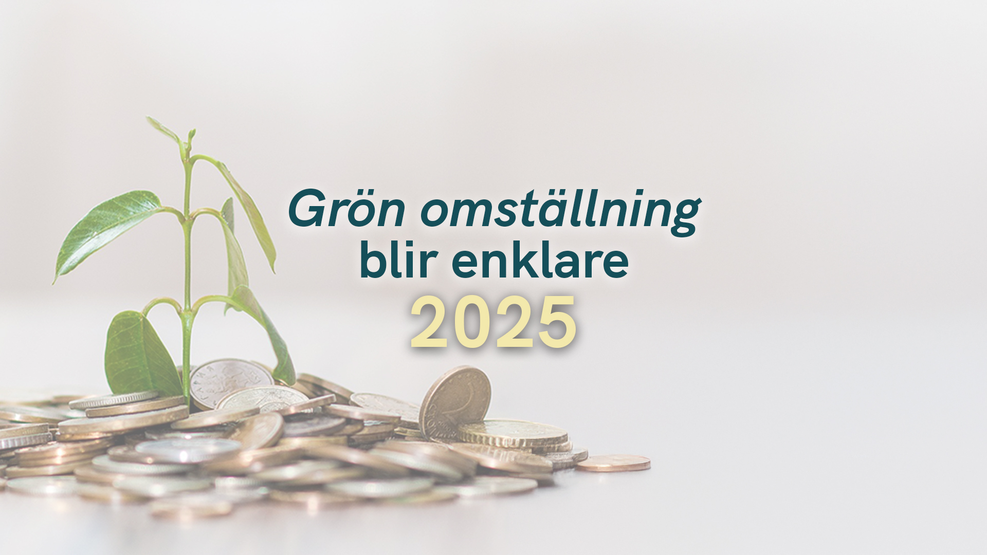 Grön omställning blir enklare 2025