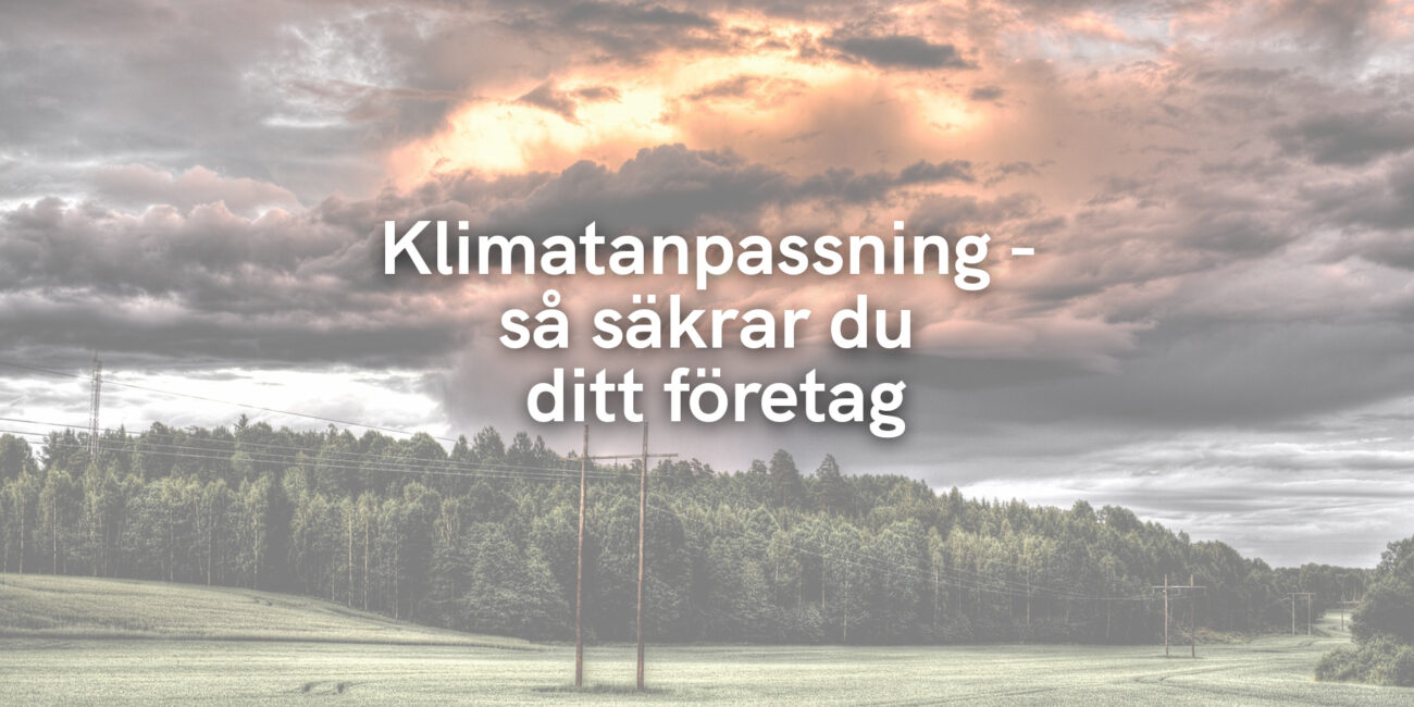 Klimatanpassning – så säkrar du ditt företag