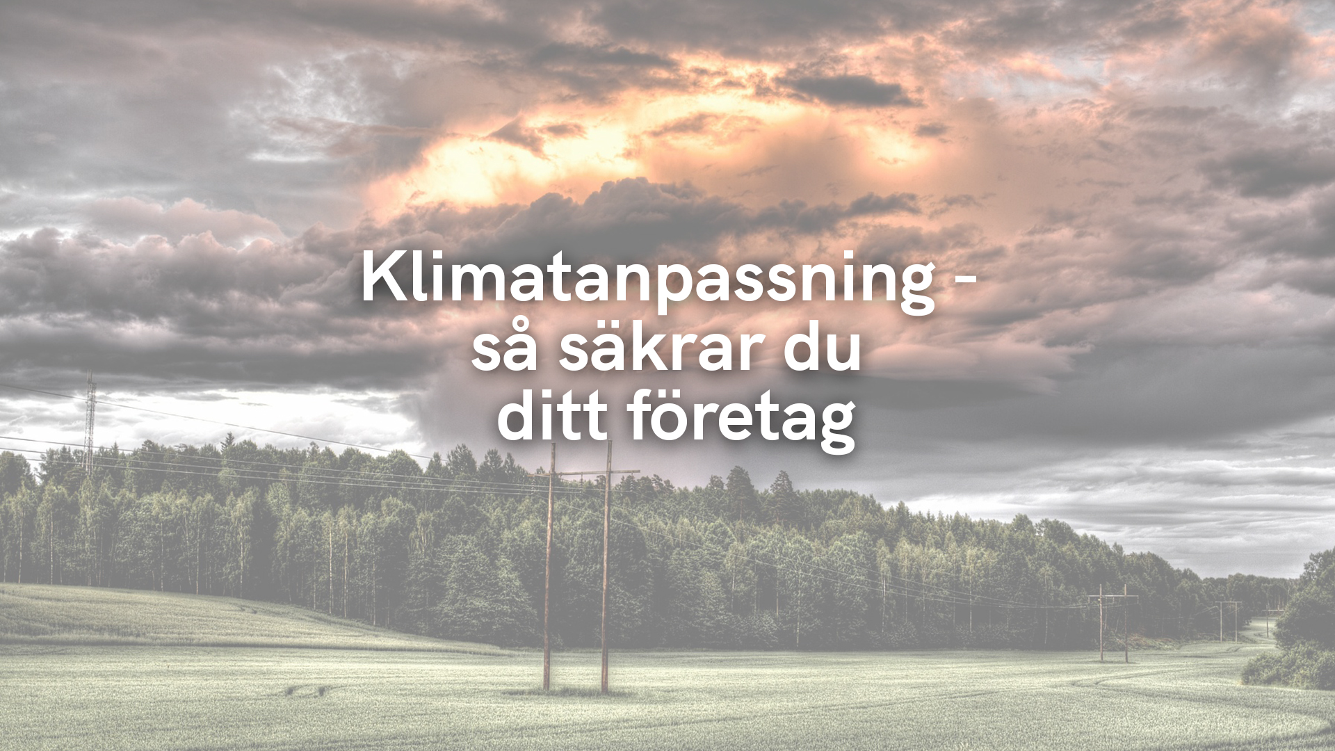 Klimatanpassning – så säkrar du ditt företag