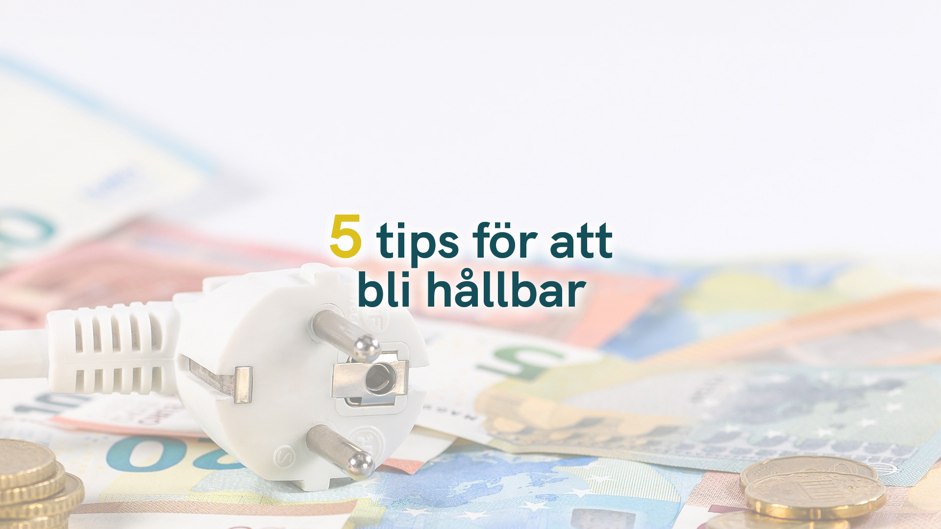 5 tips för att bli hållbar