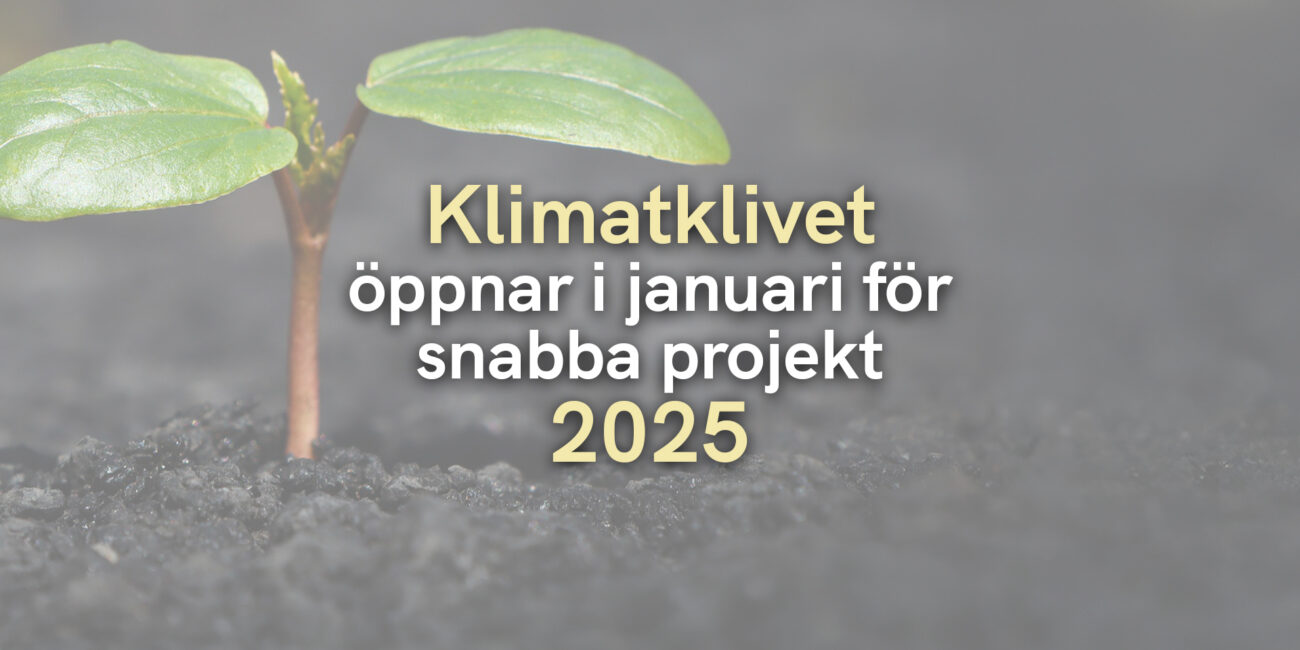 Klimatklivet öppnar i januari för snabba projekt 2025