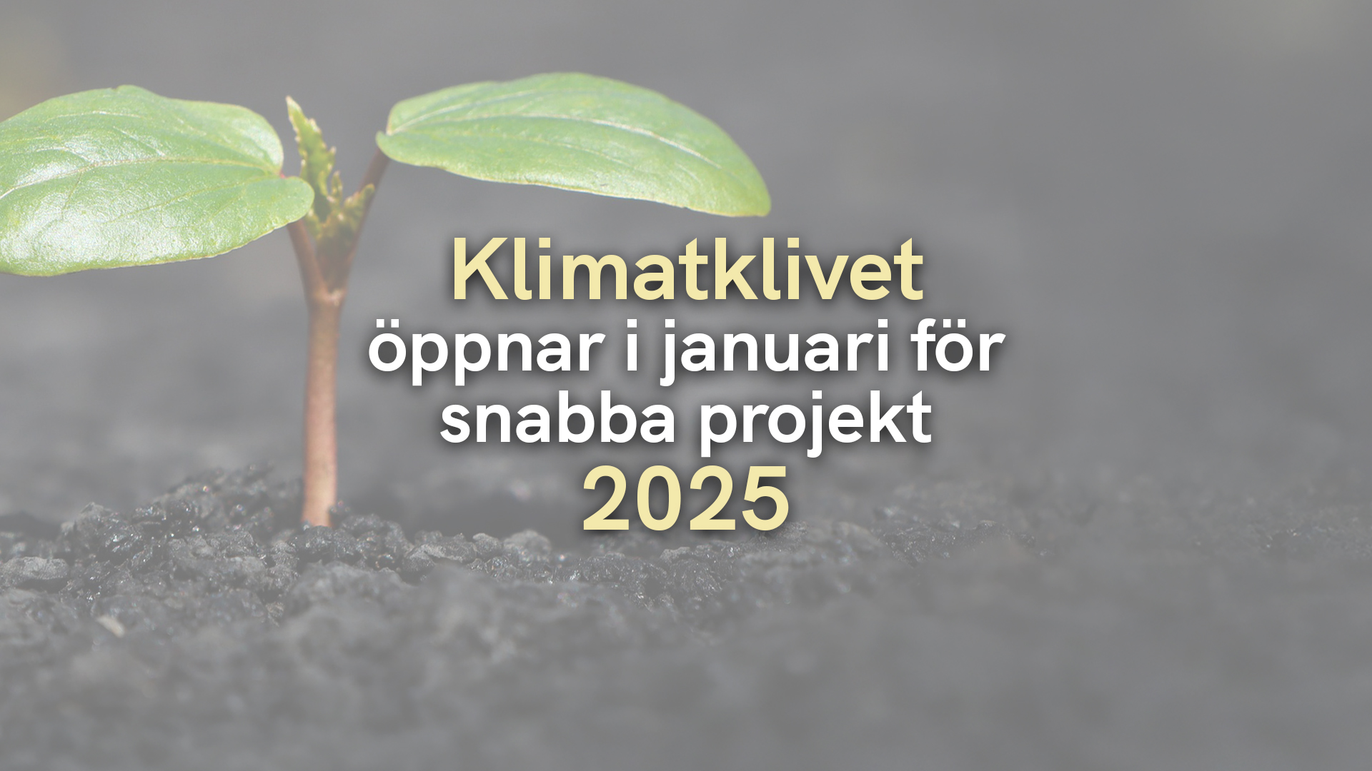 Klimatklivet öppnar i januari för snabba projekt 2025