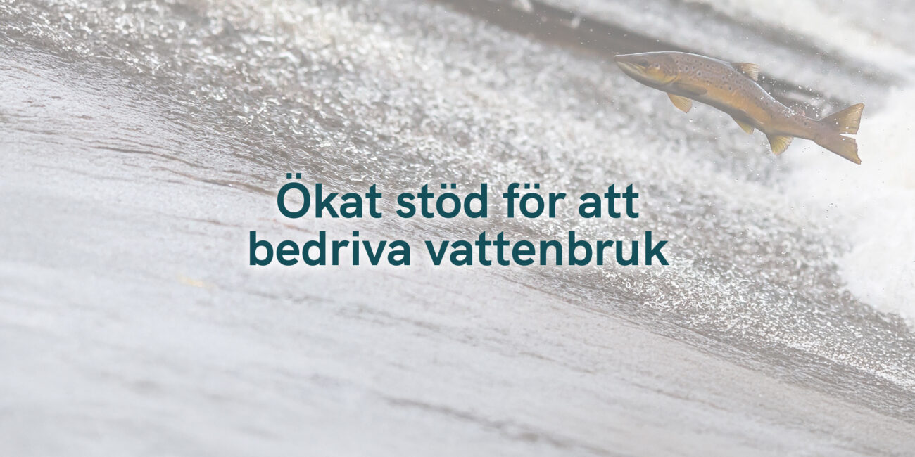 Ökat stöd för att bedriva vattenbruk