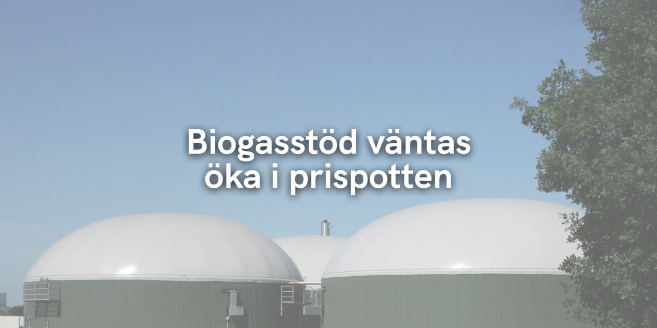 Biogasstöd väntas öka i prispotten