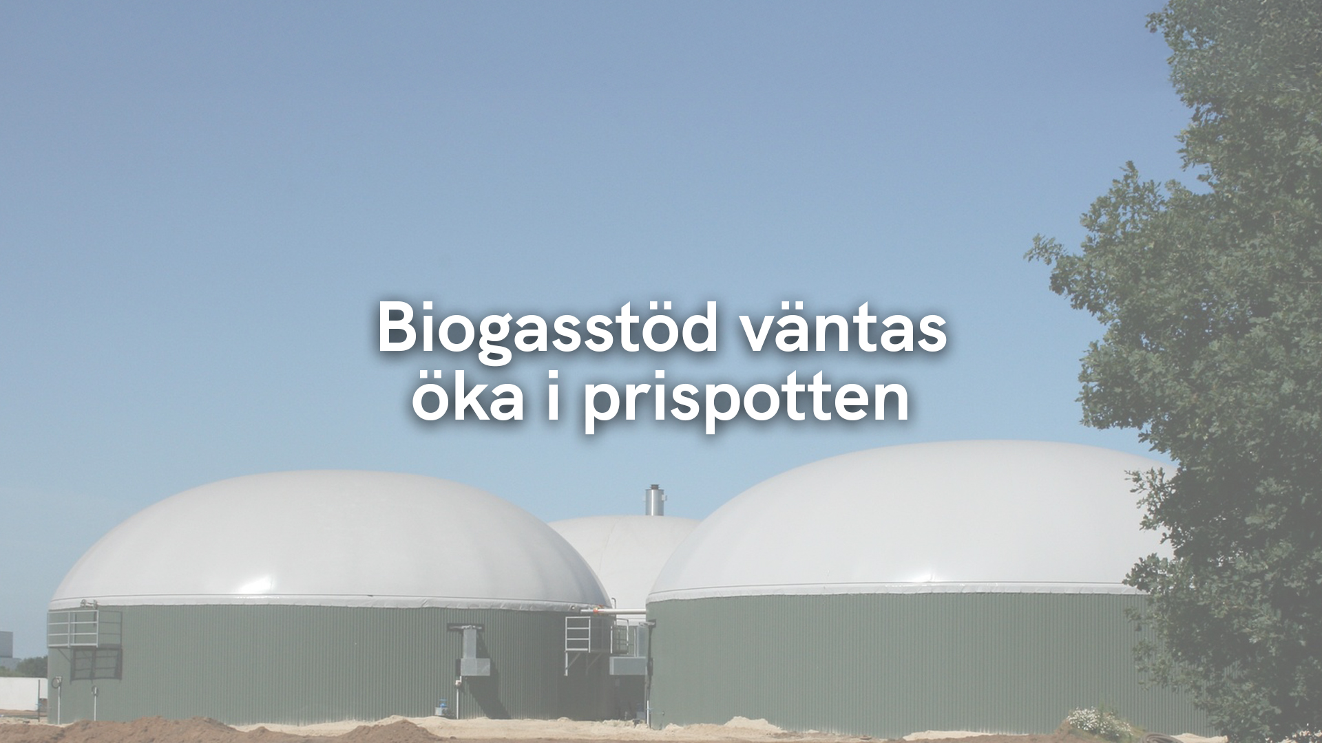 Biogasstöd väntas öka i prispotten