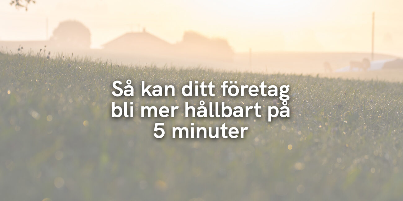 Så kan ditt företag bli mer hållbart på 5 minuter