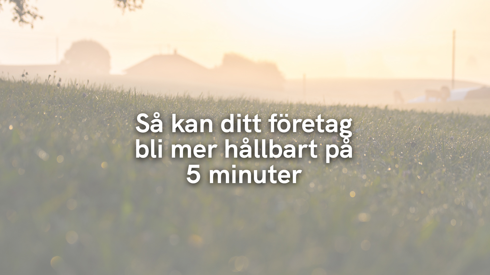 Så kan ditt företag bli mer hållbart på 5 minuter