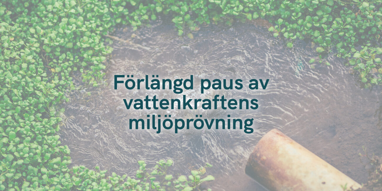 Förlängd paus av vattenkraftens miljöprövning