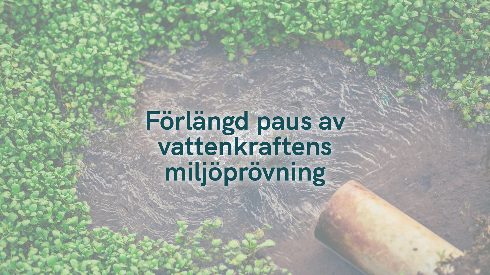 Förlängd paus av vattenkraftens miljöprövning