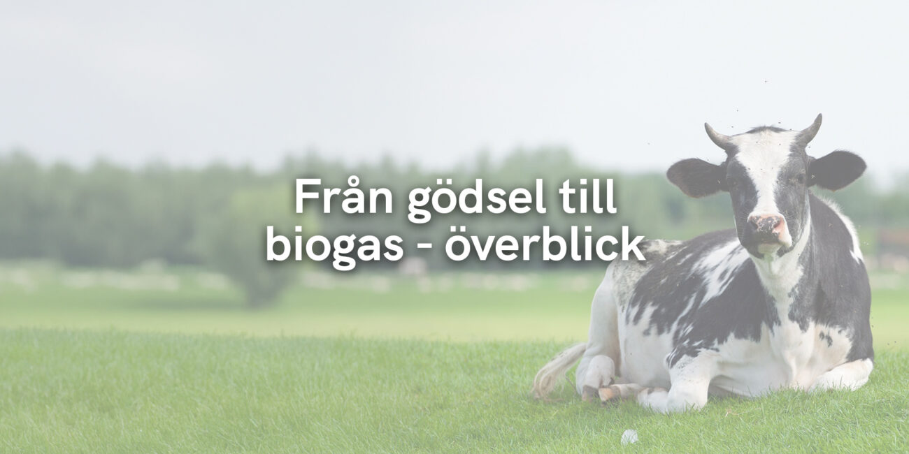 Från gödsel till biogas