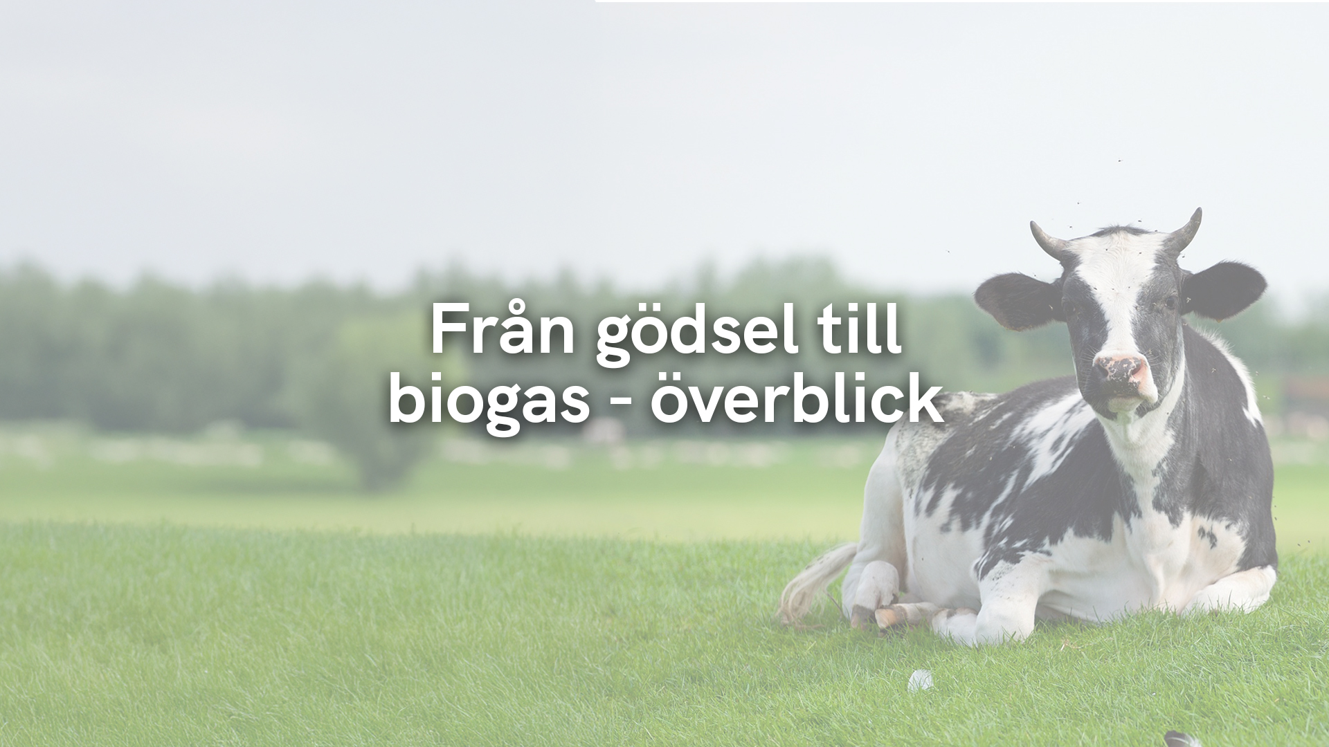 Från gödsel till biogas