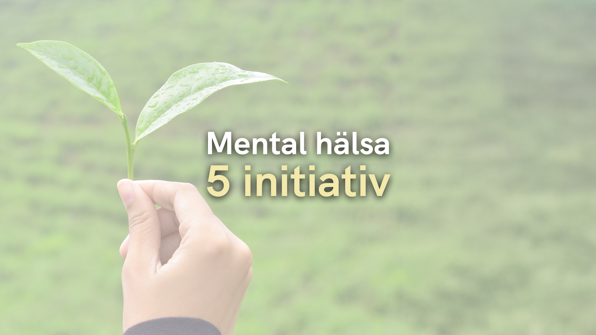 5 Hållbarhetsinitiativ för mental hälsa