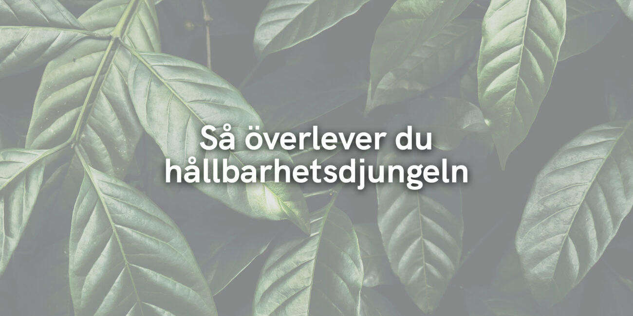 Så överlever du hållbarhetsdjungeln