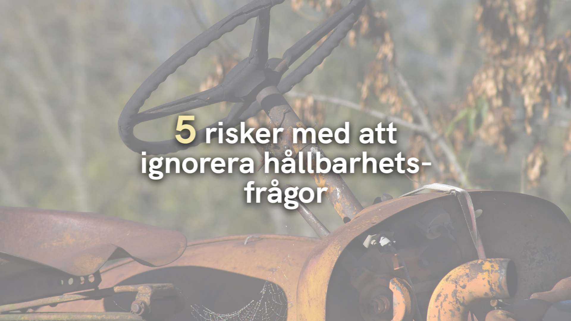 5 risker med att ignorera hållbarhetsfrågor