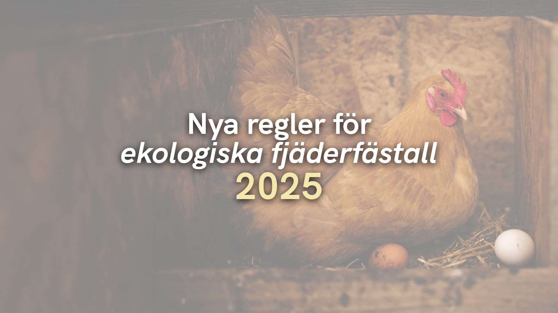 Nya regler – ekologiska fjäderfästall 2025