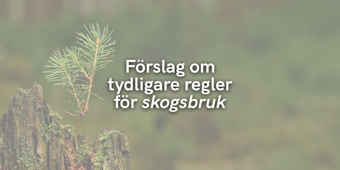 Förslag om tydligare regler för skogsbruk