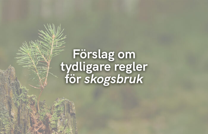 Förslag om tydligare regler för skogsbruk