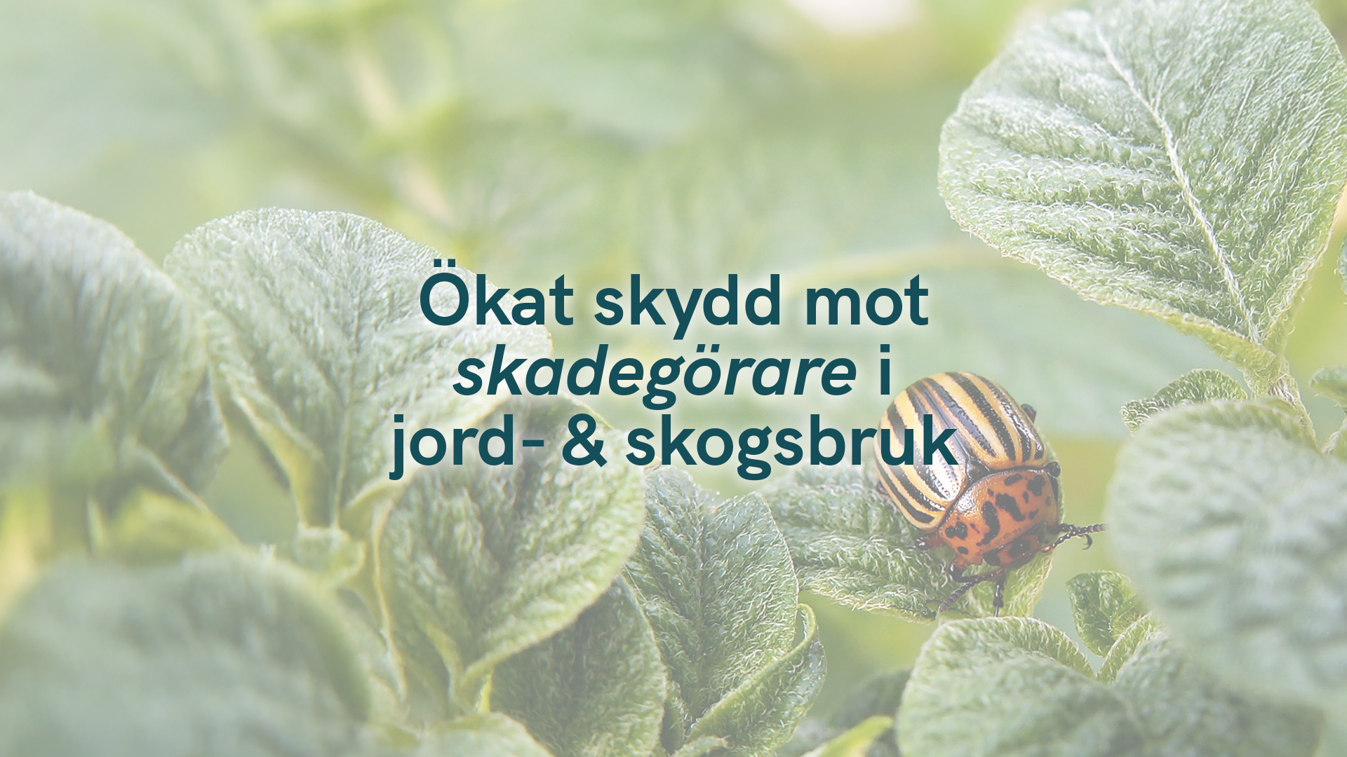 Ökat skydd mot skadegörare i jord- och skogsbruk