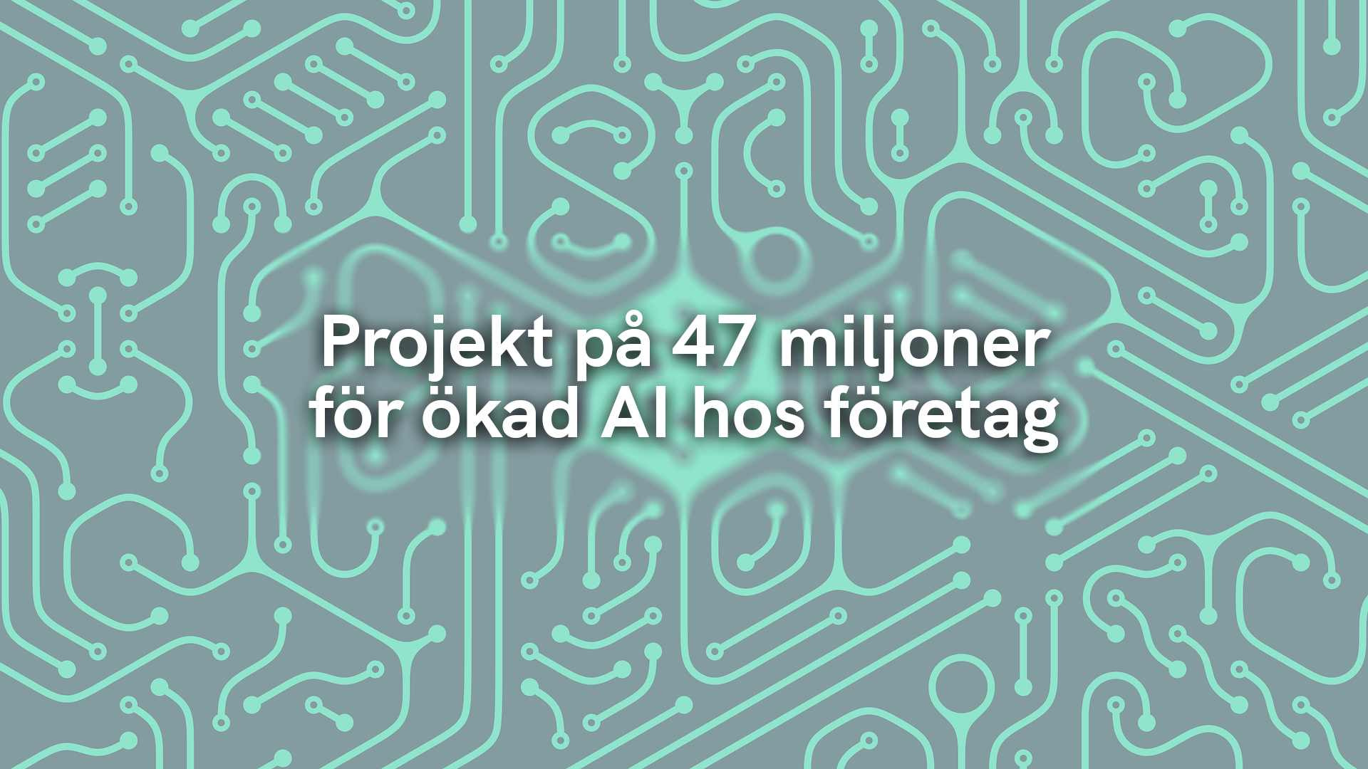 Projekt på 47 miljoner för ökad AI hos företag