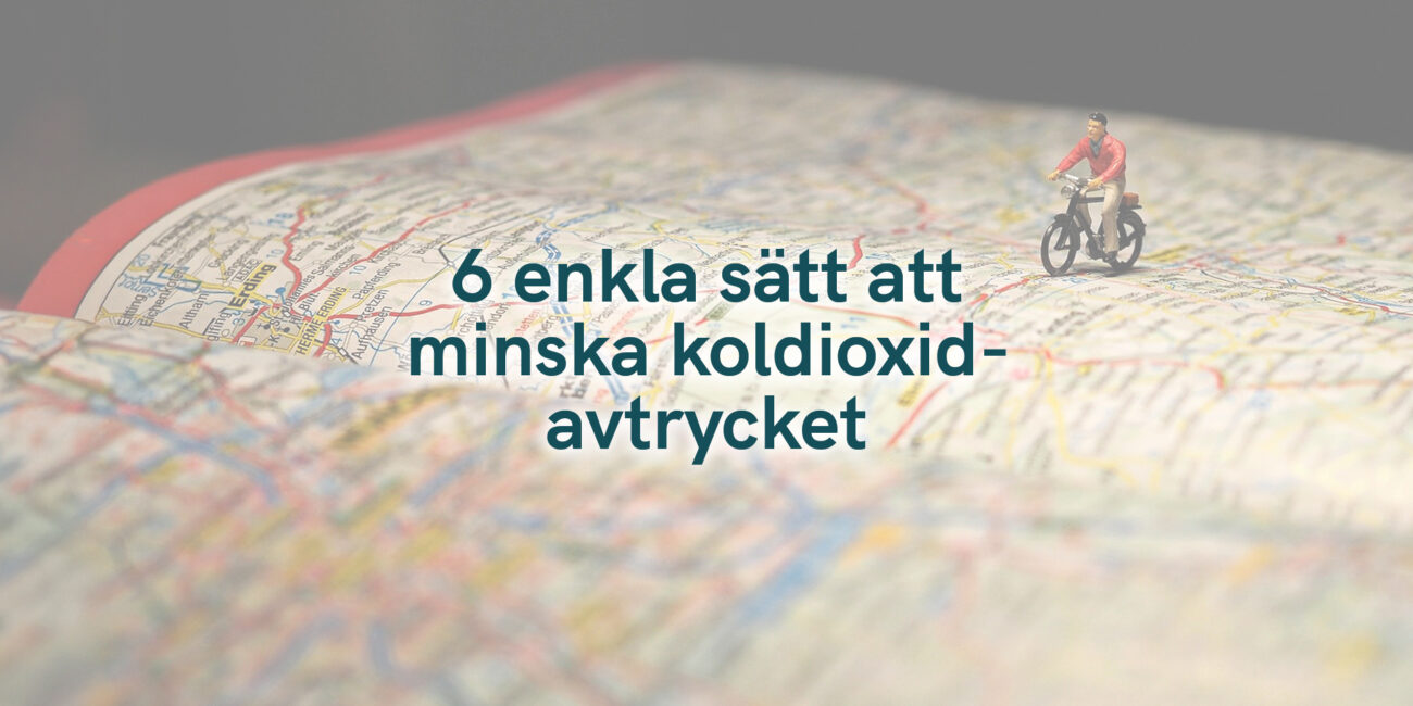 6 enkla sätt att minska koldioxidavtrycket