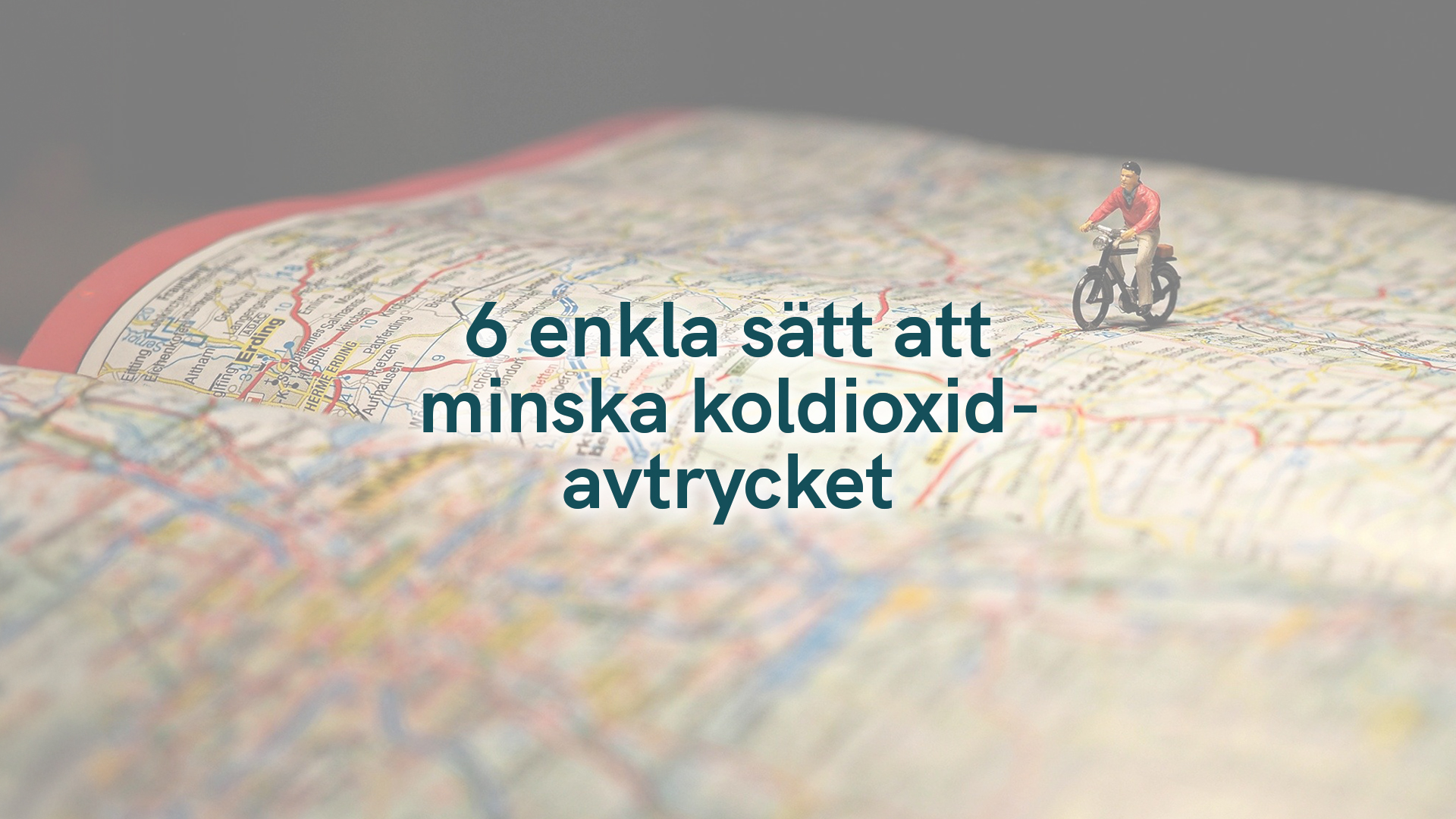 6 enkla sätt att minska koldioxidavtrycket