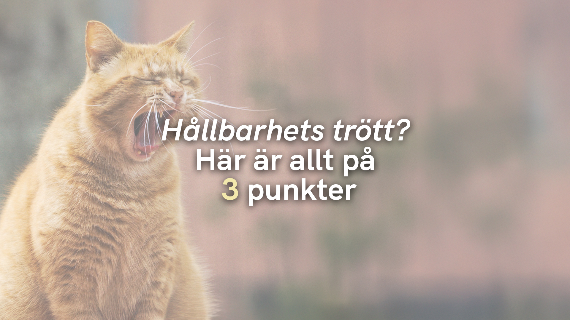 Hållbarhets trött? Här är allt på 3 punkter