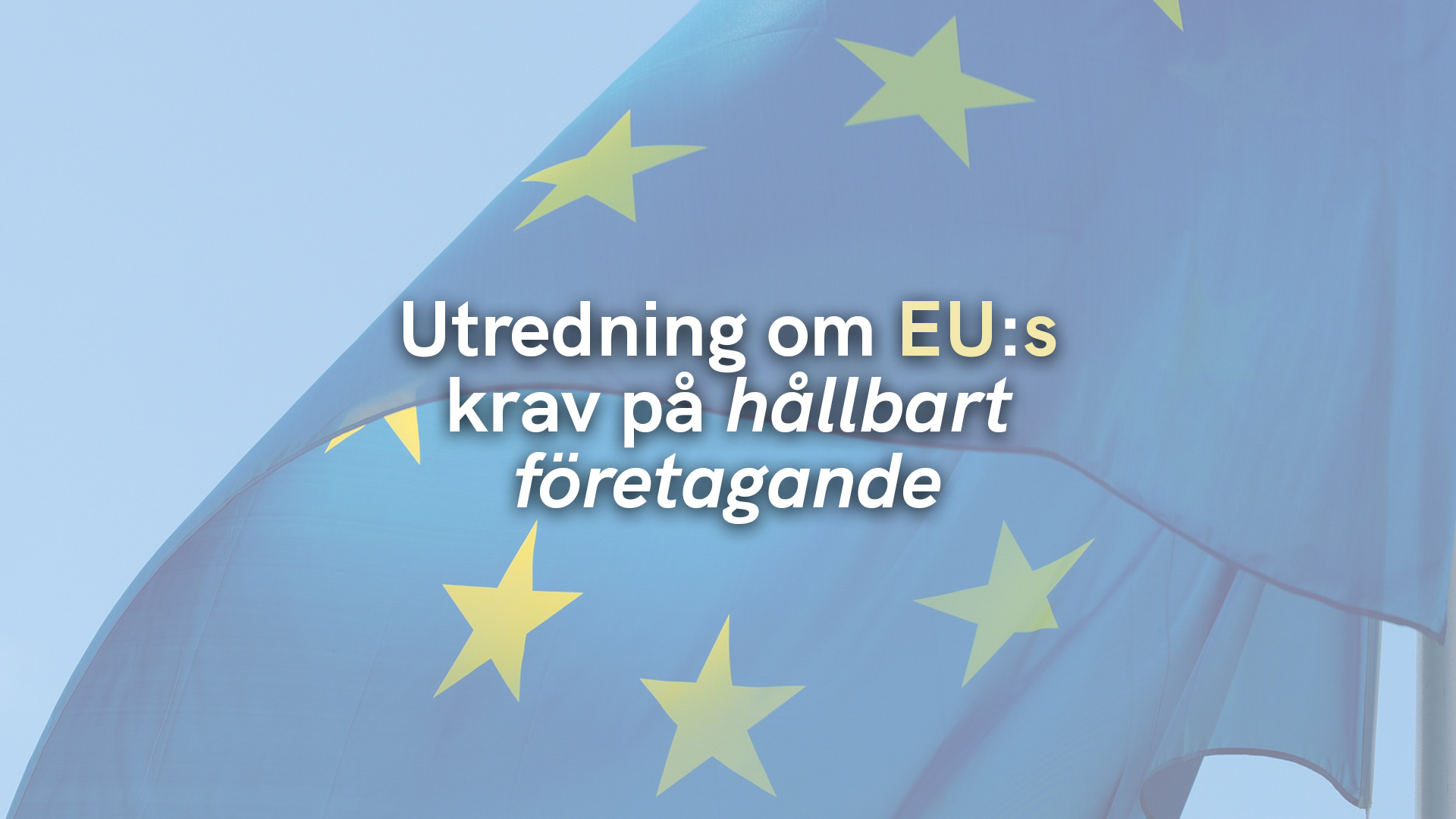 Utredning om EU:s krav på hållbart företagande