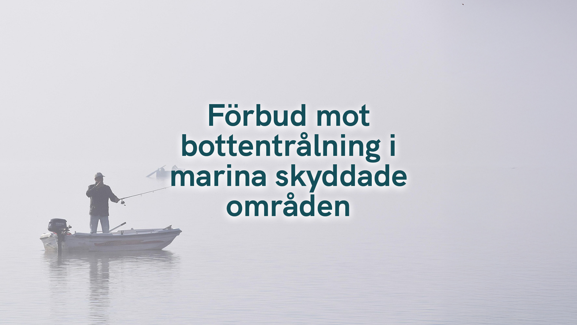 Förbud mot bottentrålning i marina skyddade områden