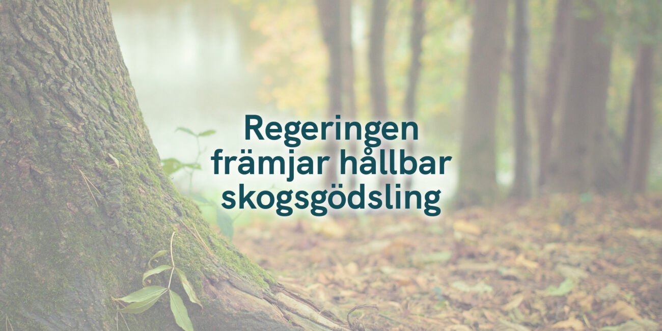 Regeringen främjar hållbar skogsgödsling