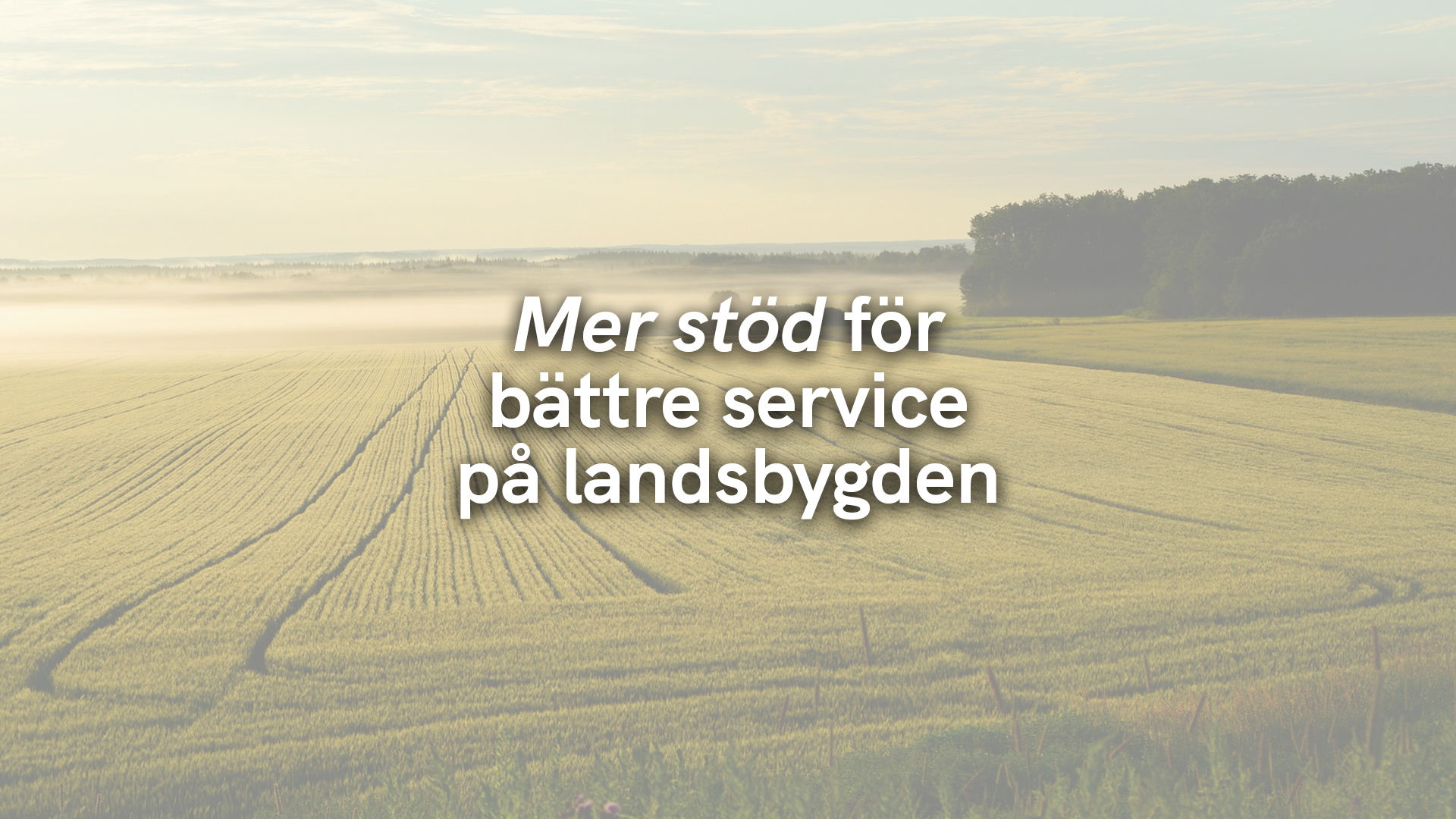 Mer stöd för bättre service på landsbygden