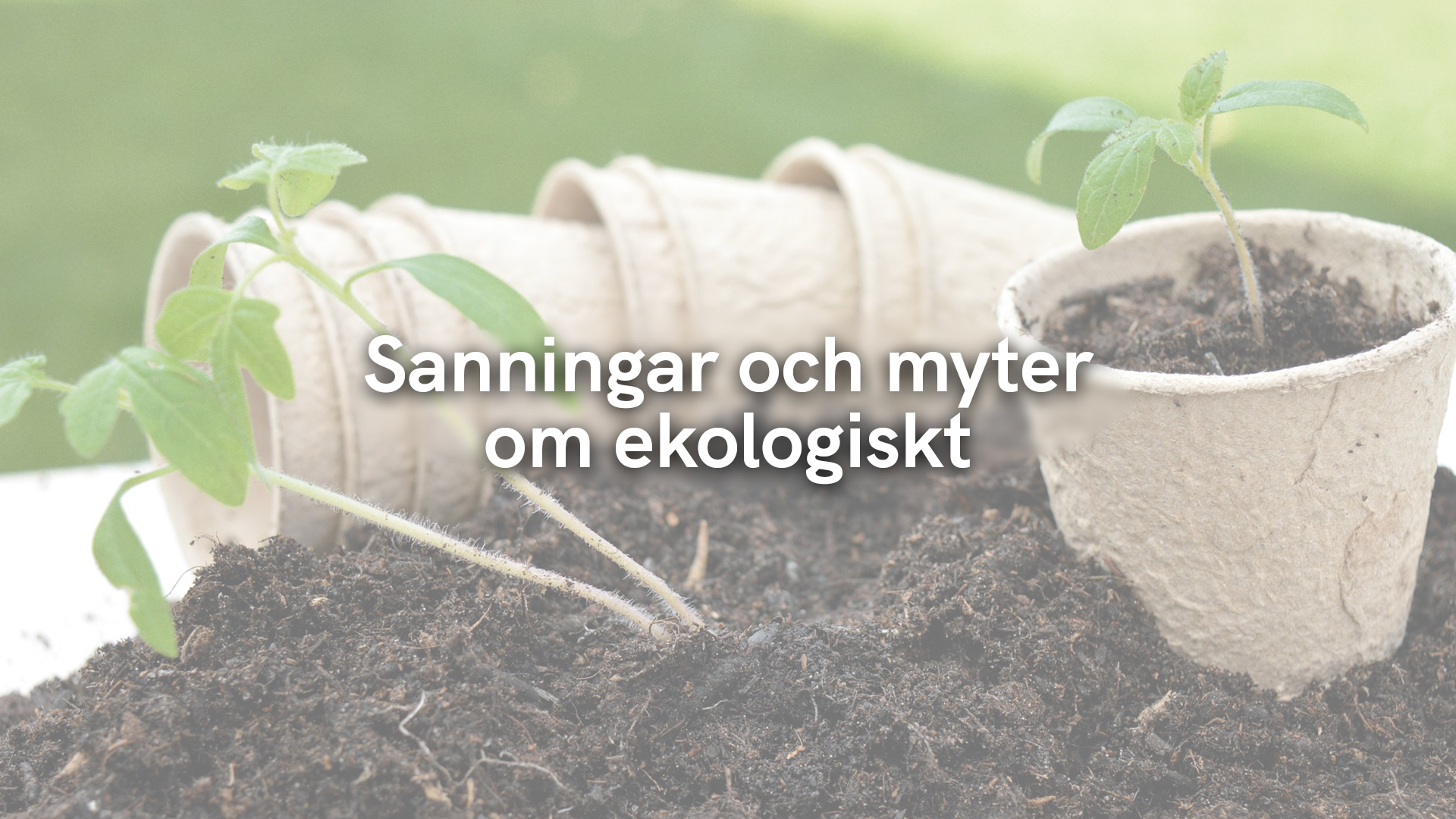 Sanningar och myter om ekologiskt