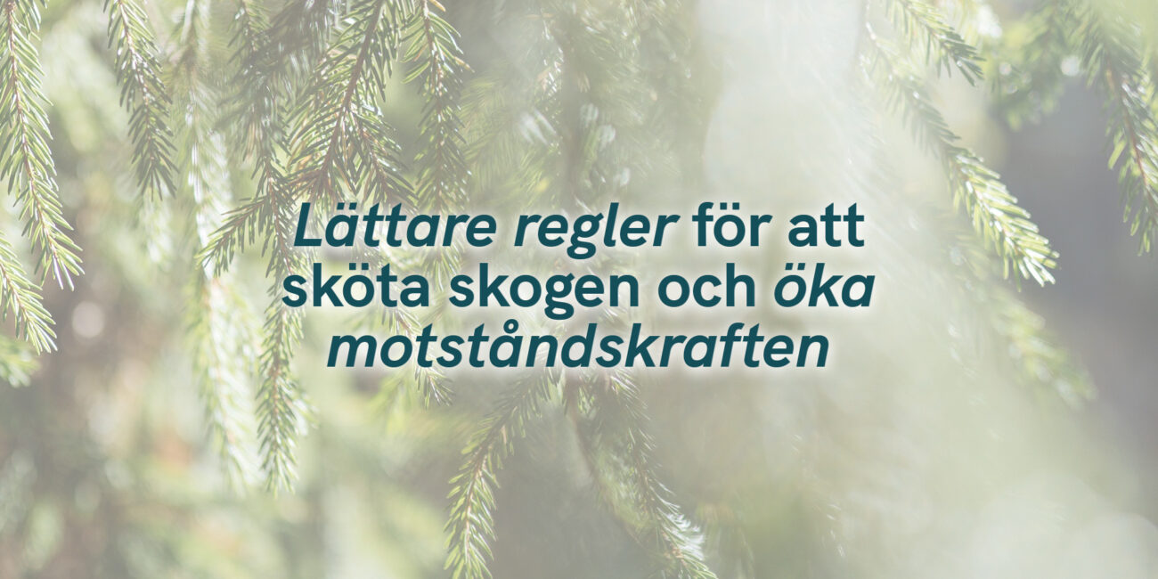 Lättare regler för att sköta skogen och öka motståndskraften