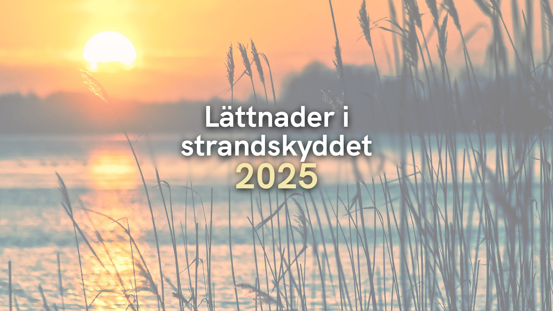 Lättnader i strandskyddet 2025