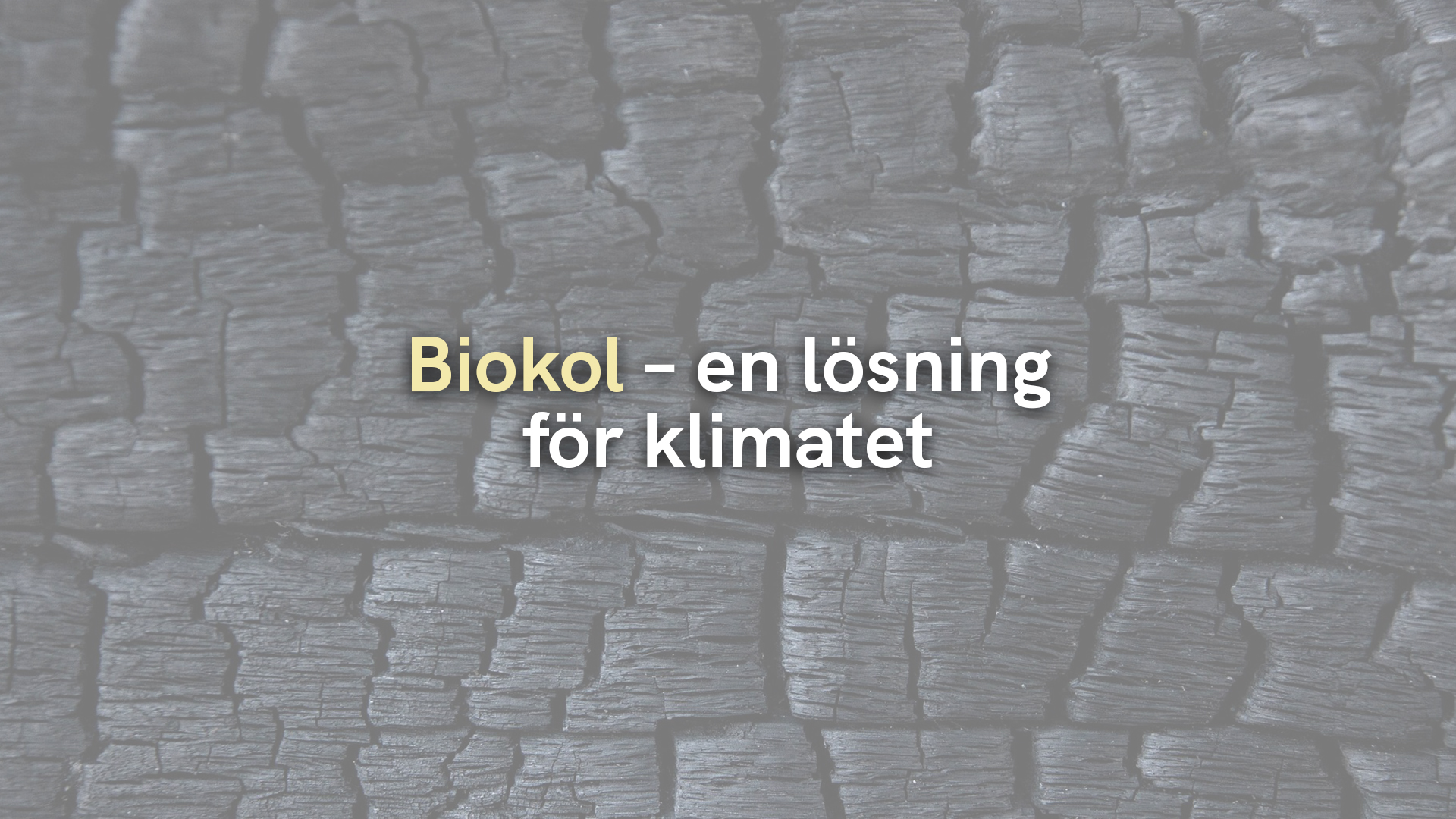 Biokol – en lösning för klimatet