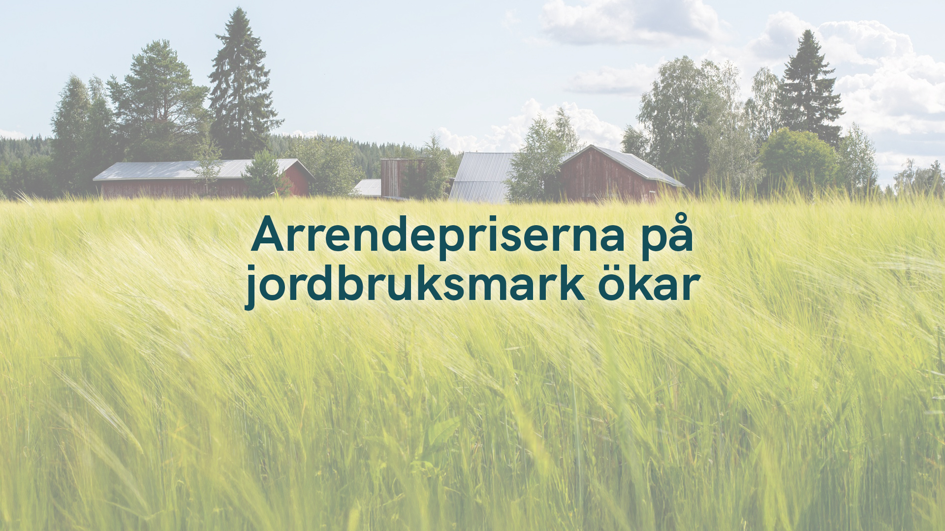 Arrendepriserna på jordbruksmark ökar