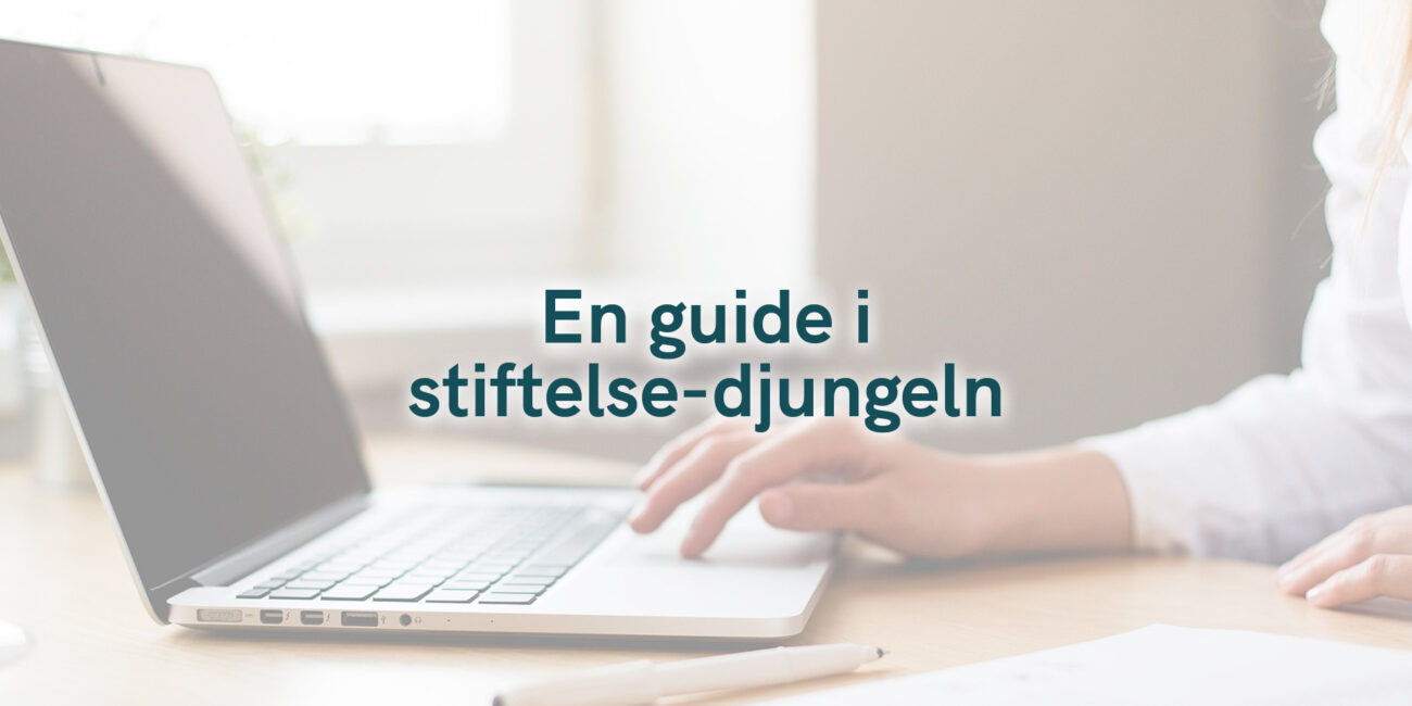 En guide i stiftelse-djungeln 