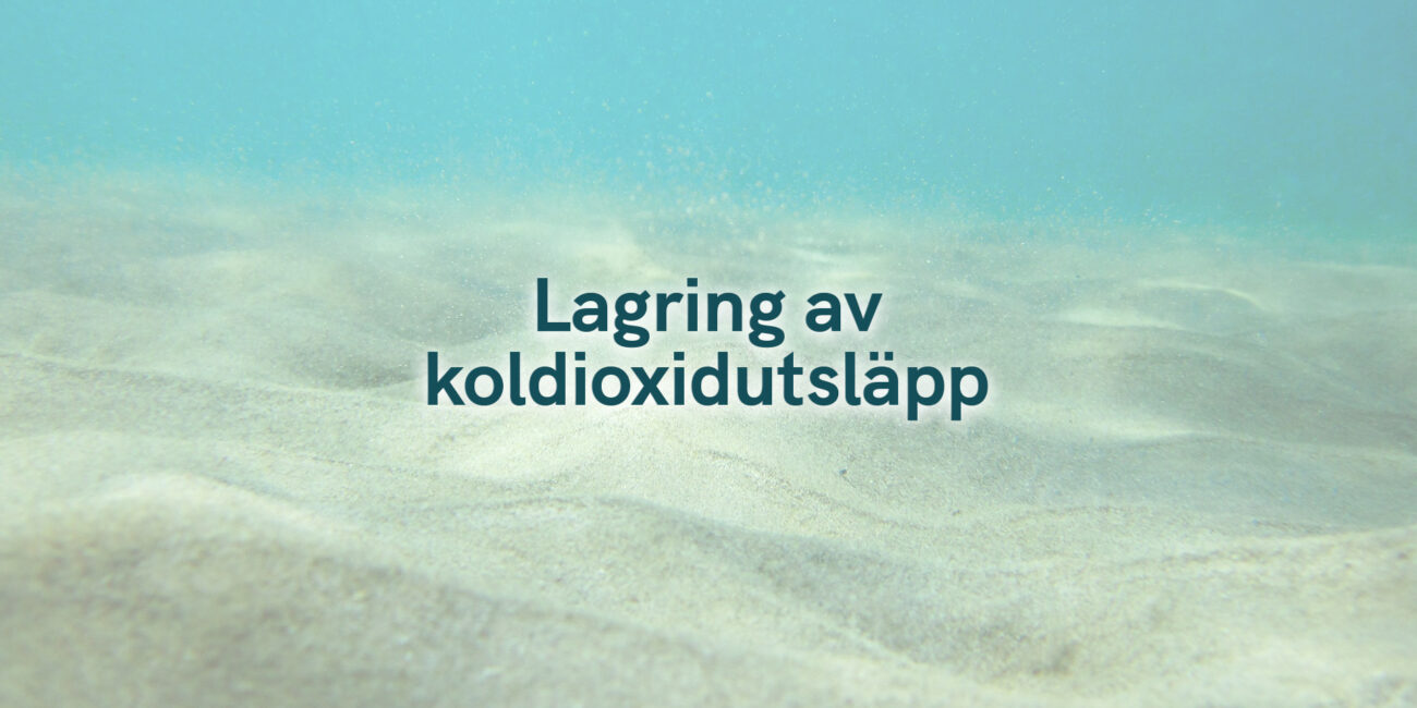 Lagring av koldioxidutsläpp