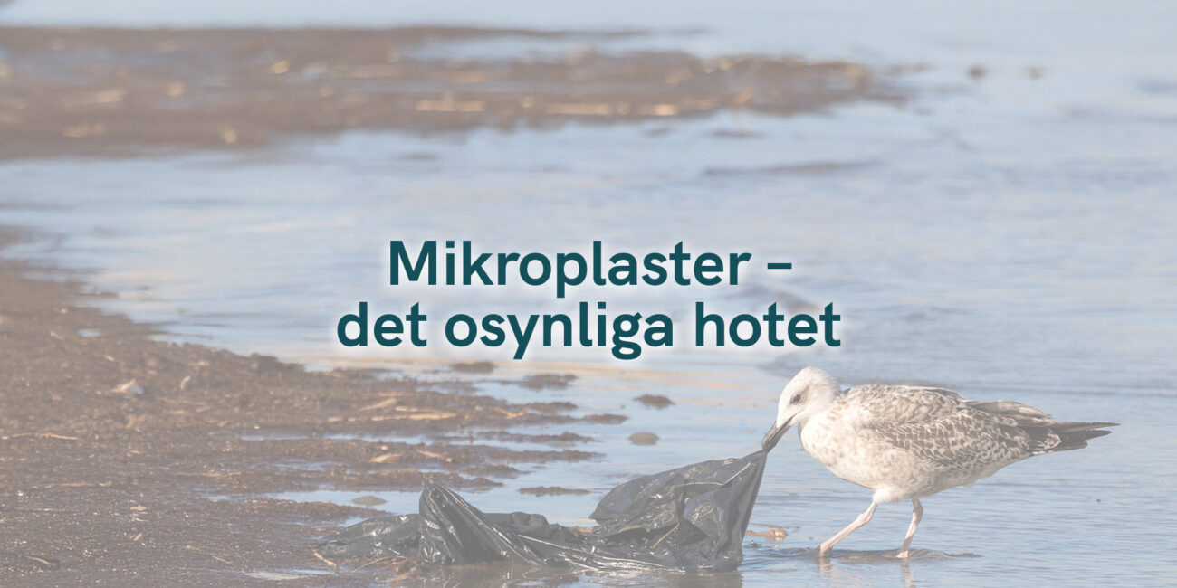 Mikroplaster – det osynliga hotet