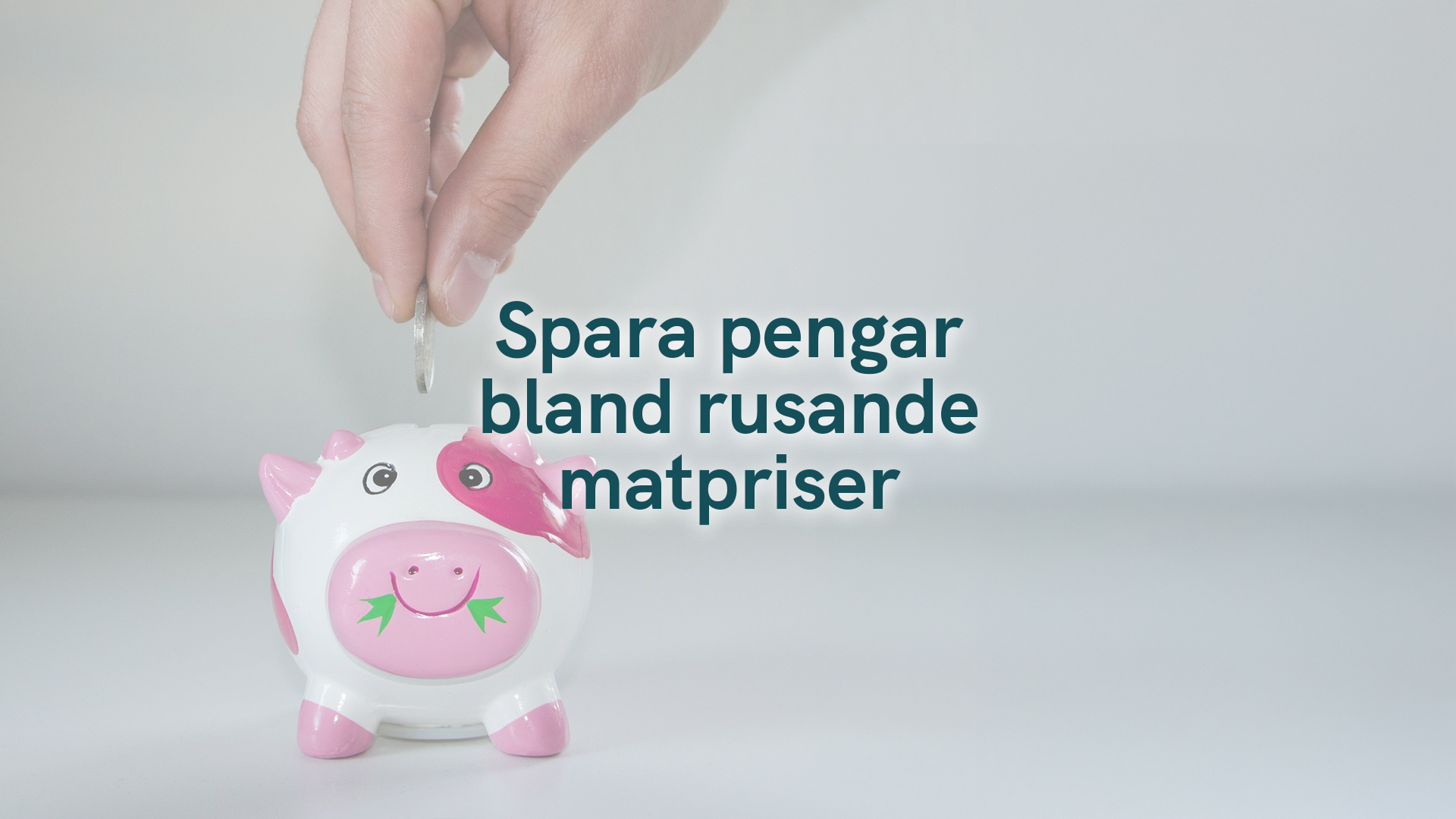 Spara pengar bland rusande matpriser